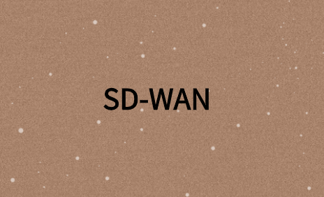 SD-WAN如何進(jìn)行故障排除?