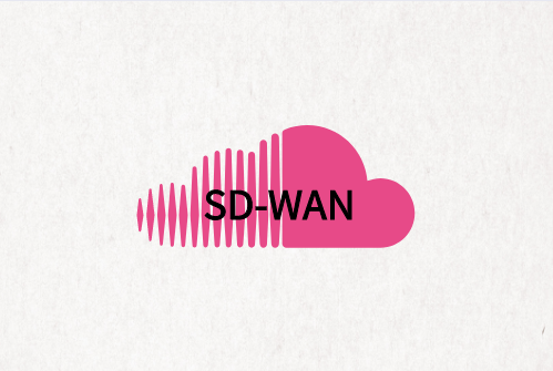 分支到分支的SD-WAN