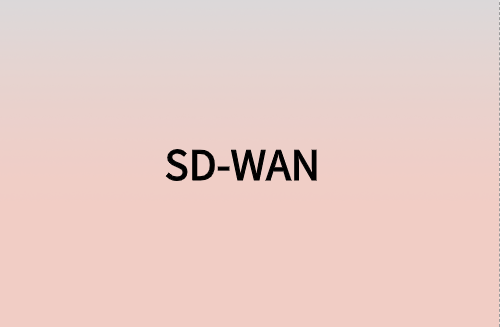 對(duì)企業(yè)而言，SD-WAN意味著什么?