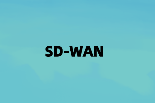 輸入SD-WAN連接數(shù)據(jù)和應(yīng)用程序