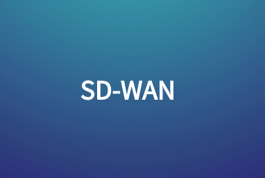 面向金融機構(gòu)的阿里云SDWAN解決方案