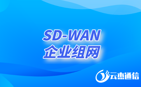 深入了解領(lǐng)先的SD-WAN服務(wù)商及其創(chuàng)新解決方案