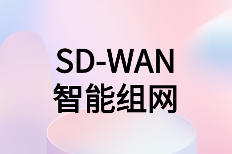 SD-WAN智能組網(wǎng)方案能為企業(yè)解決什么實(shí)質(zhì)性問題?